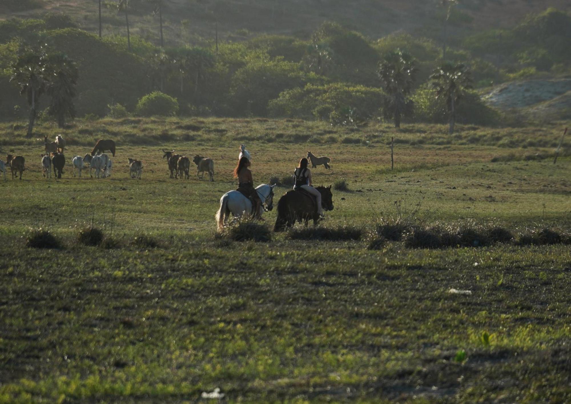 Pousada Por Do Sol บาร์ราโนวา ภายนอก รูปภาพ